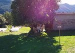 TopFly Drone -Servicio aduiovisual con drones-