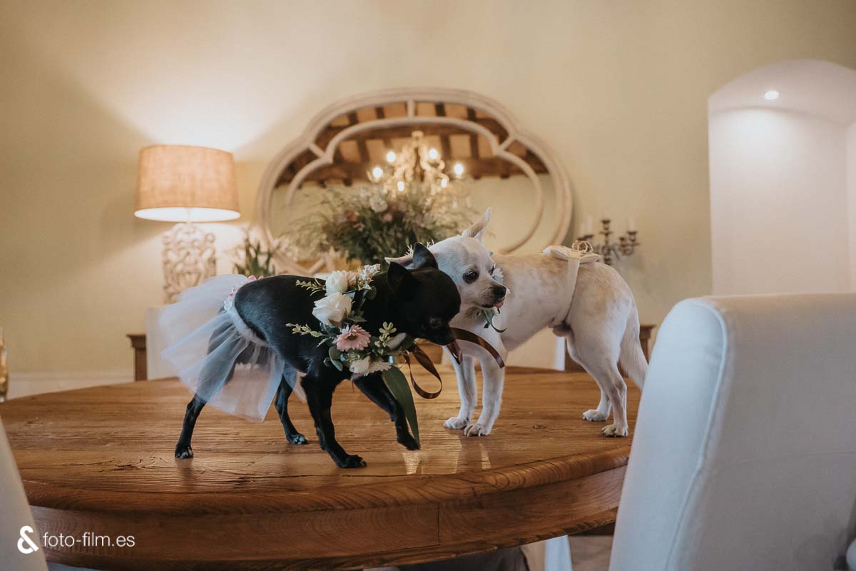 Foto&Film Bodas by ProduccionsMC