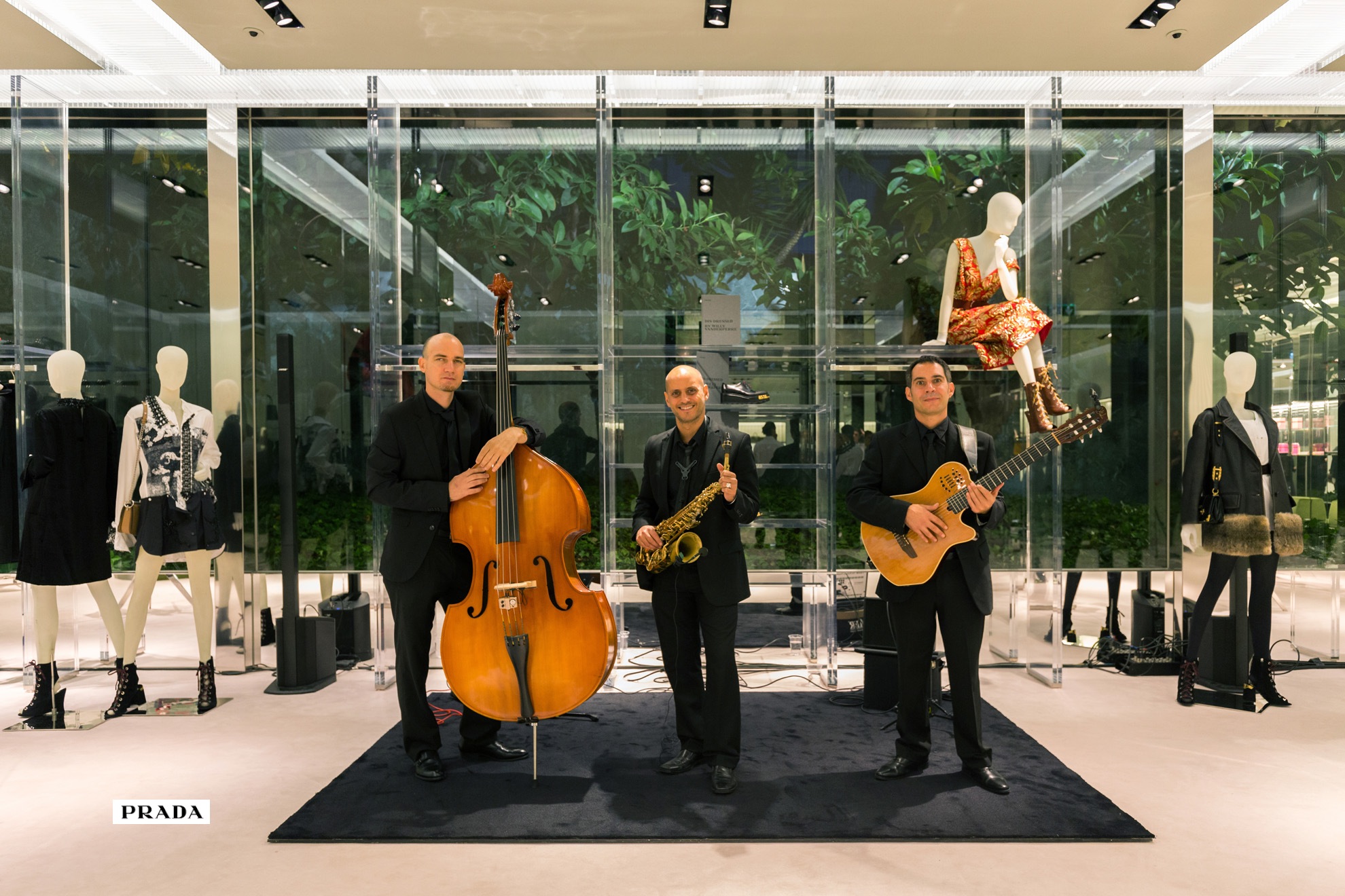 The Catjazz Group – Amenización musical para eventos. ​ 