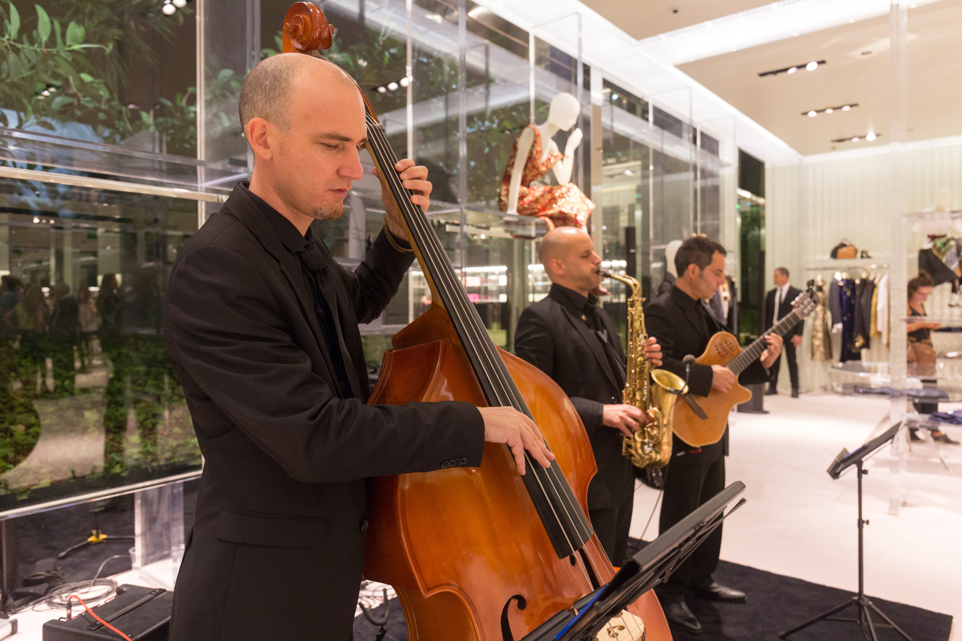 The Catjazz Group – Amenización musical para eventos. ​ 