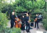 The Catjazz Group – Amenización musical para eventos. ​ 