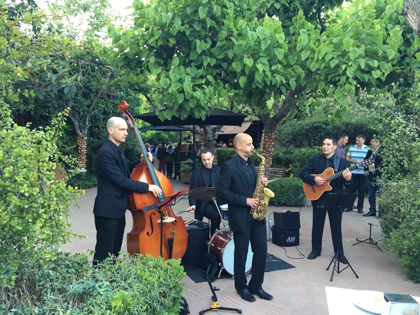 The Catjazz Group – Amenización musical para eventos. ​ 